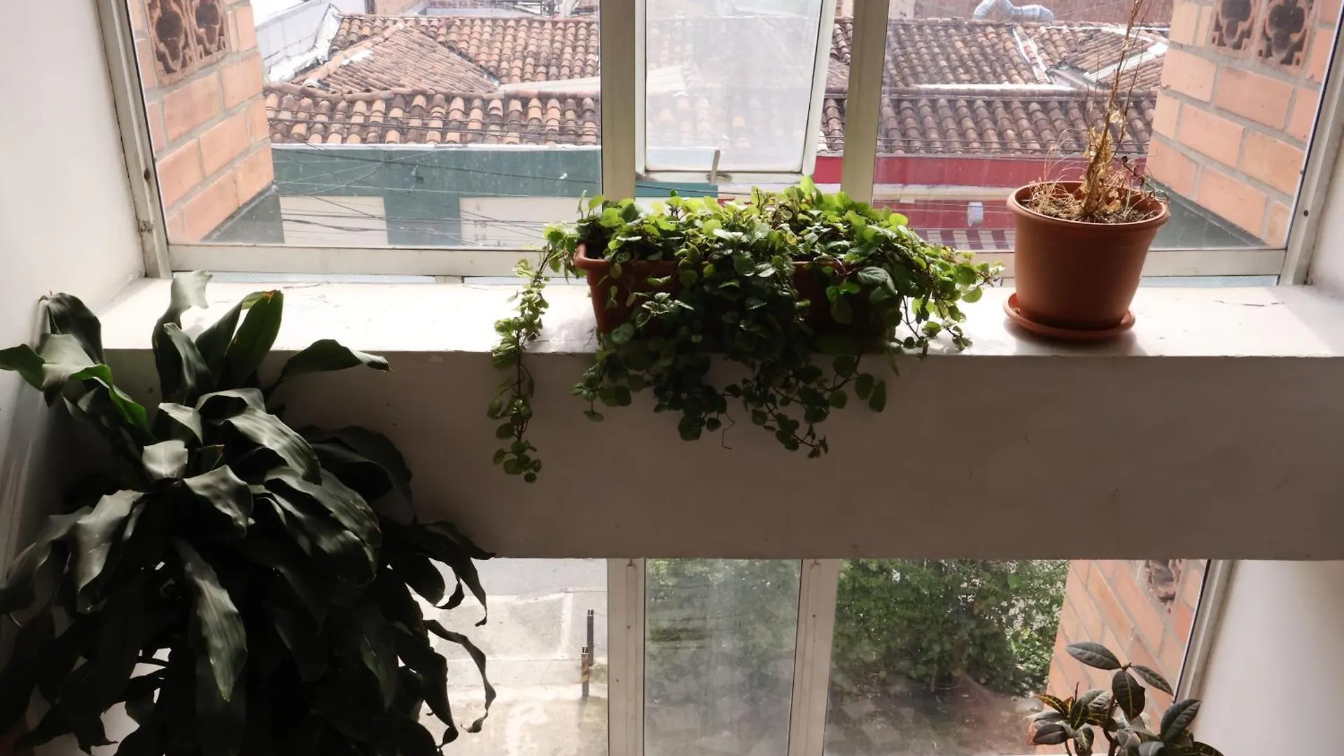 Homestay Living Poblado Manila 3028 Habitacion Doble Medellin Colombia